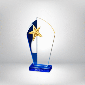 Elegant Acrylic Glass Shield